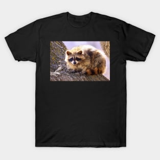 Bandit T-Shirt